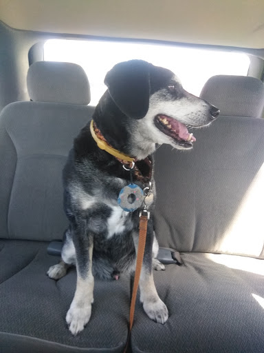 Pet Supply Store «Pet X Supplies & Tack», reviews and photos, 132 W Highland Rd Suite 101, Howell, MI 48843, USA