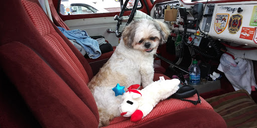 Pet Supply Store «Petco Animal Supplies», reviews and photos, 3430 W State St, Grand Island, NE 68803, USA