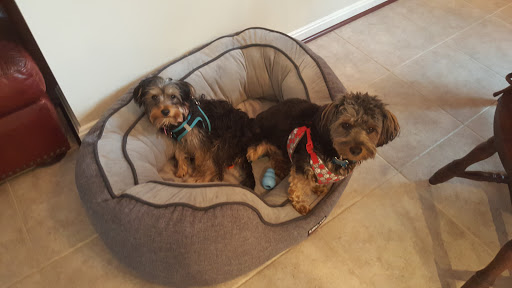 Pet Supply Store «PetSmart», reviews and photos, 9970 Sowder Village Square, Manassas, VA 20109, USA