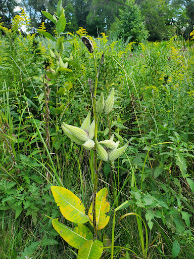 National Reserve «Montezuma National Wildlife Refuge», reviews and photos, 3395 US-20, Seneca Falls, NY 13148, USA