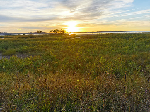 Park «Morse Park», reviews and photos, Morse Ave, West Haven, CT 06516, USA