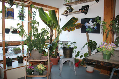 Vert Cafe & Plant Gallery