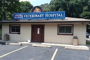 Ansonia Seymour Veterinary Hospital image