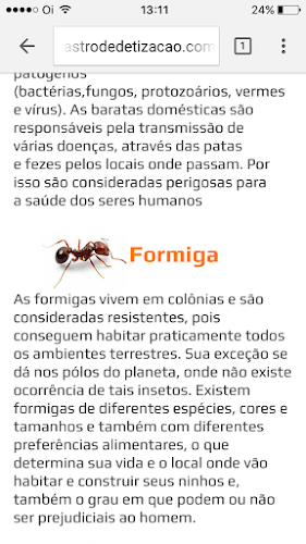 Número de telefone de Castro Dedetização-AquitemPE