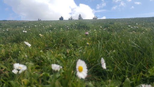 Park «Gabriel Park», reviews and photos, SW 45th Ave & Vermont Street, Portland, OR 97219, USA