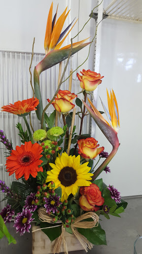 Florist «Blanca Flor Flower Shop», reviews and photos, 3102 Telephone Rd, Houston, TX 77023, USA