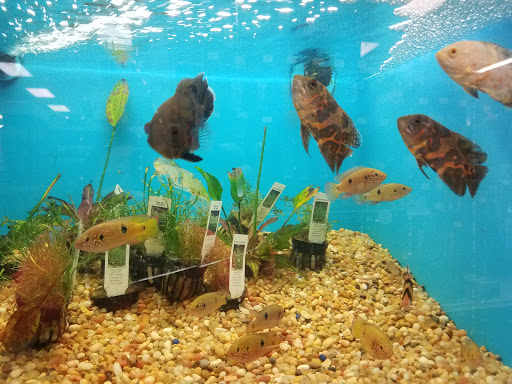 Pet Supply Store «Pet Supermarket», reviews and photos, 608 Montgomery Hwy, Vestavia Hills, AL 35216, USA