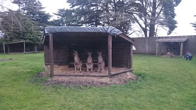 Photos of Great Ocean Road Wildlife Park