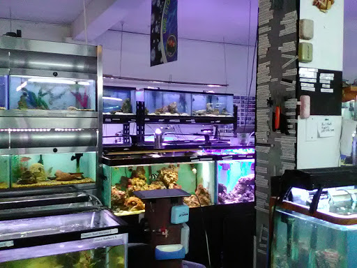 Pet Store «Fish Aquariums & Stuff», reviews and photos, 6112 W Fairview Ave, Boise, ID 83704, USA