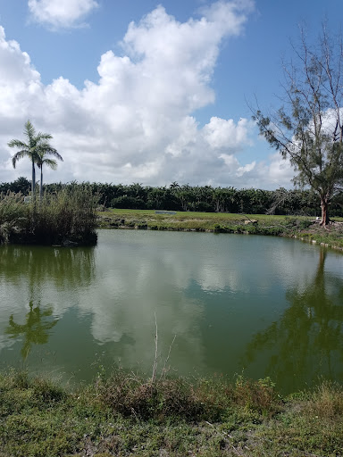 Employment Agency «Labor Finders», reviews and photos, 906 N Flagler Ave, Homestead, FL 33030, USA