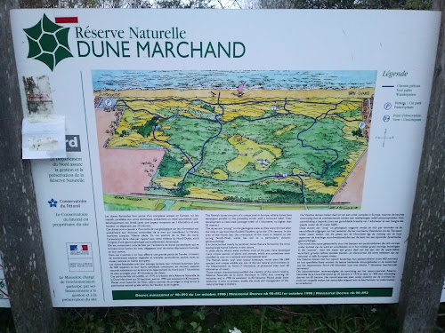 Réserve Naturelle Nationale de la Dune Marchand à Bray-Dunes