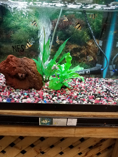 Garden Center «A W Brown Pet & Garden», reviews and photos, 144 Shaker Rd, East Longmeadow, MA 01028, USA