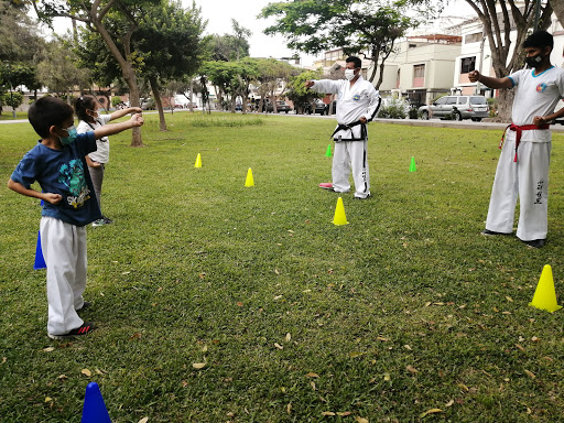 Escuela de Taekwondo Samil la molina