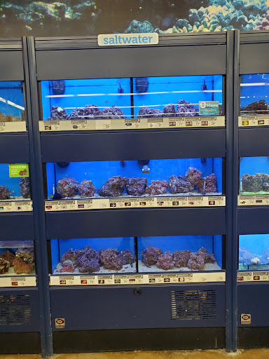 Pet Supply Store «Petco Animal Supplies», reviews and photos, 664 New Loudon Rd #240, Latham, NY 12110, USA