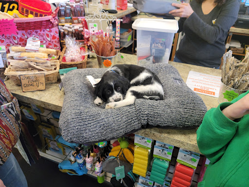 Pet Supply Store «Healthy Pet Products», reviews and photos, 9805 McKnight Rd, Pittsburgh, PA 15237, USA