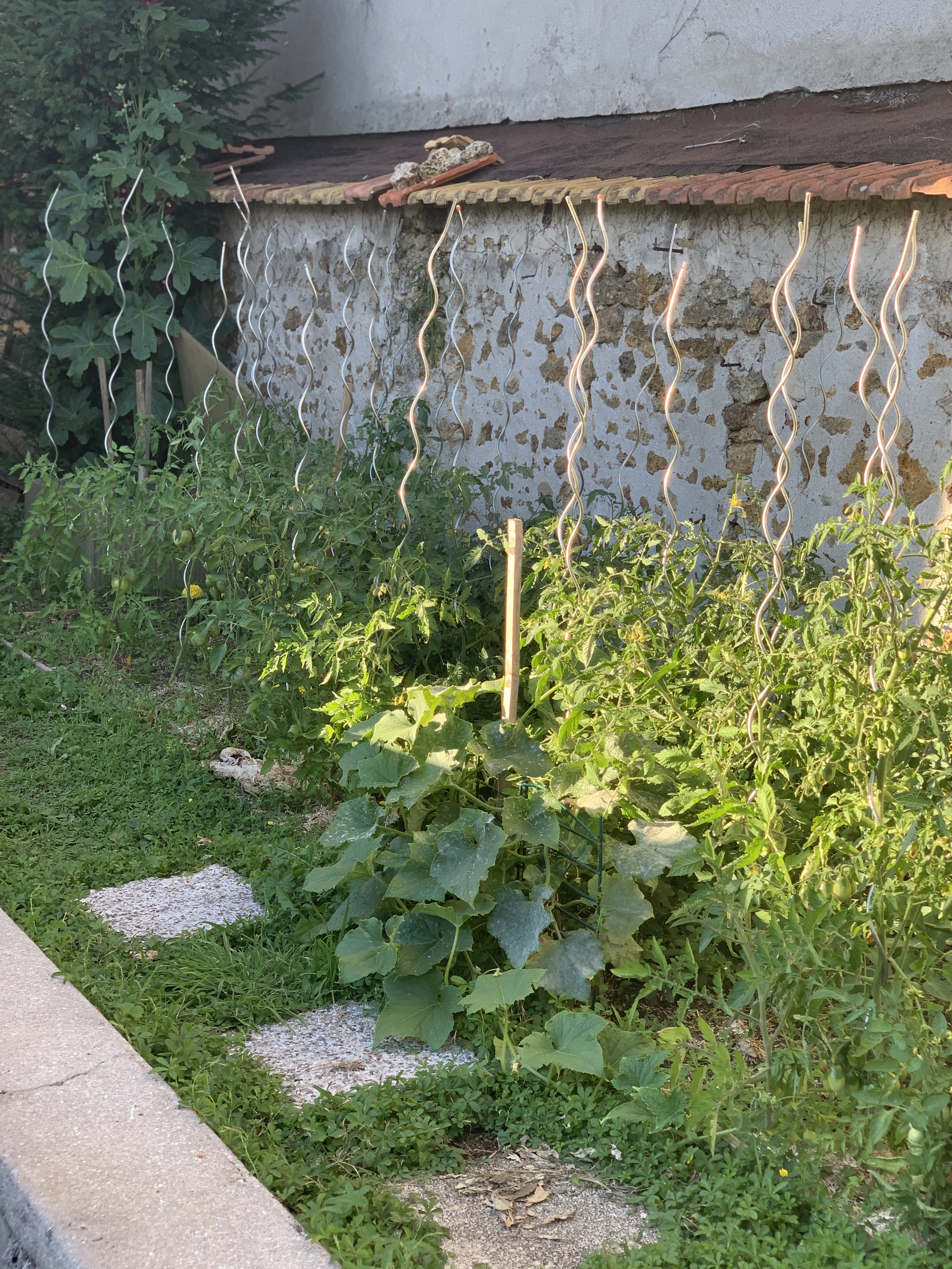 Photo n° 1 de l'avis de Elisabeth.a fait le 25/07/2022 à 11:17