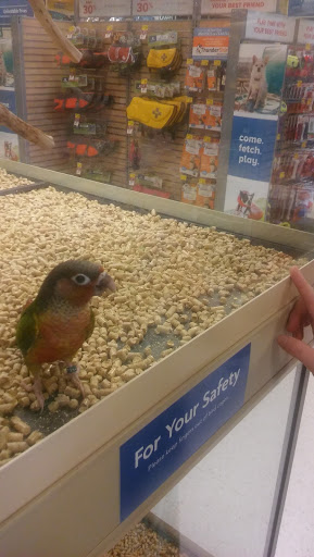 Pet Supply Store «PetSmart», reviews and photos, 7225 Bell Creek Rd Ste 228, Mechanicsville, VA 23111, USA