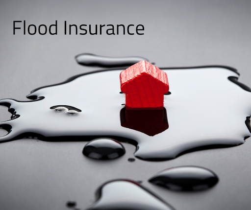 Insurance Agency «Florida Best Quote», reviews and photos