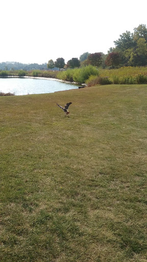 Golf Club «Brown Deer Golf Club», reviews and photos, 1900 Country Club Dr, Coralville, IA 52241, USA