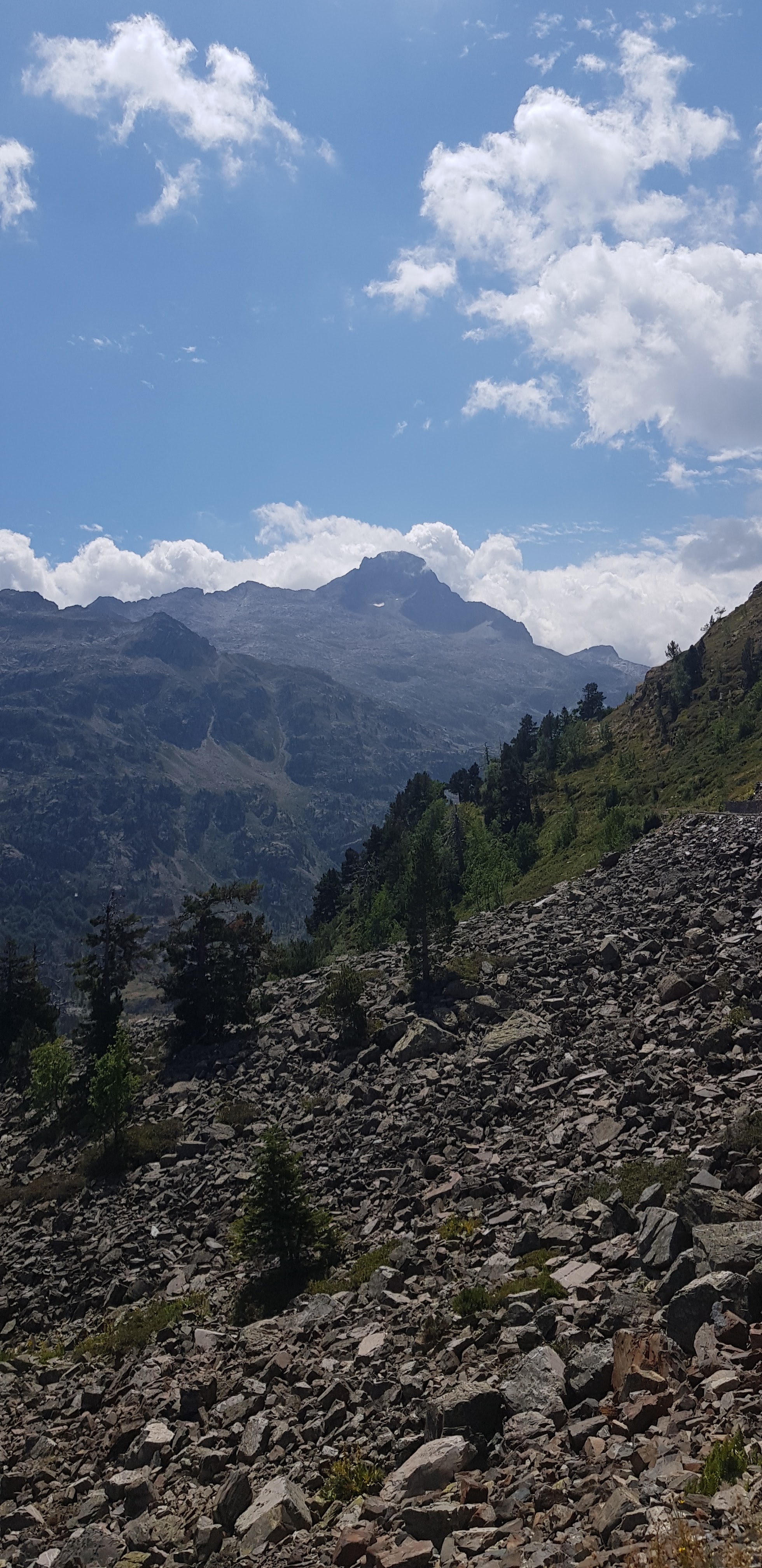 Photo n° 6 de l'avis de Didier.o fait le 28/07/2022 à 16:01