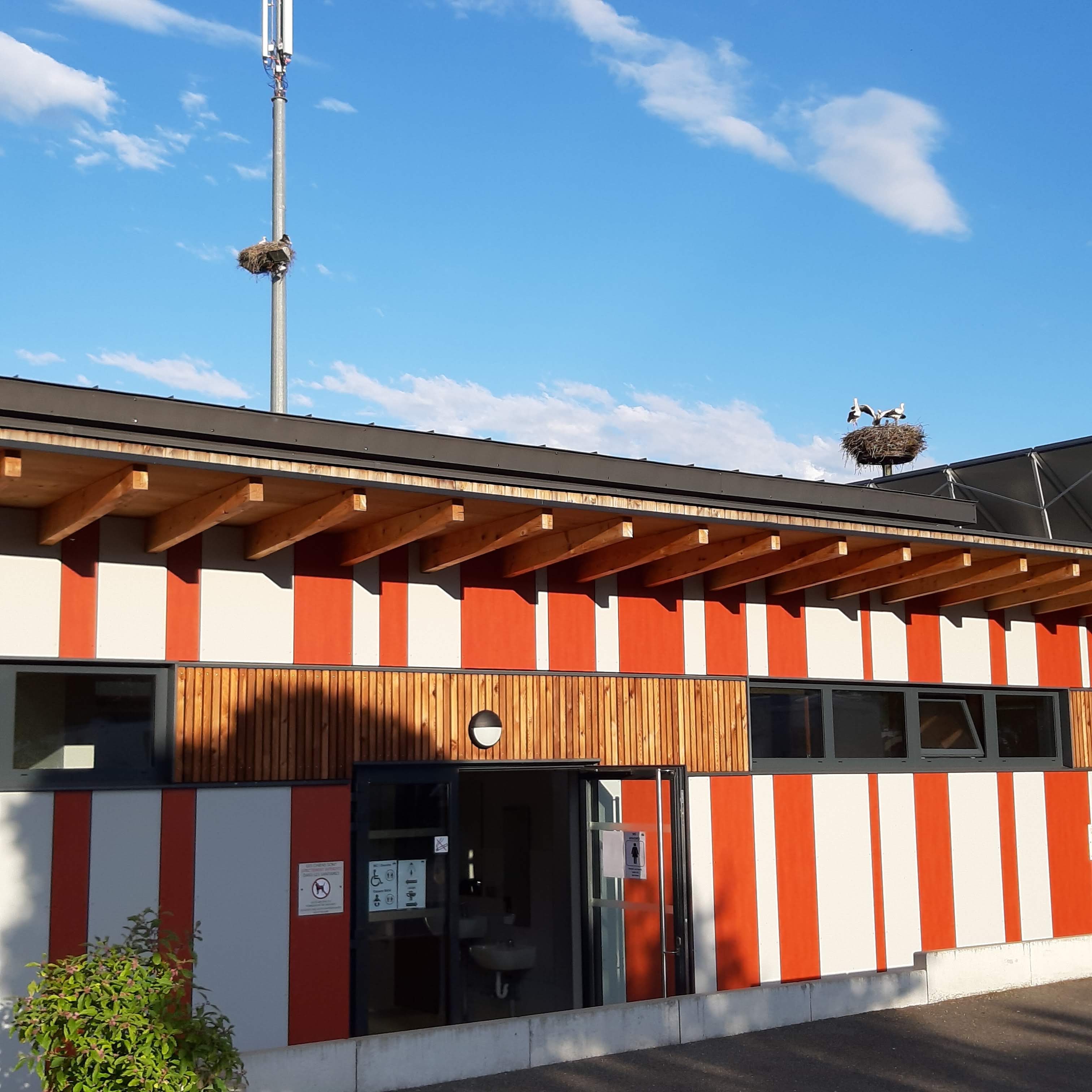 Photo n° 3 de l'avis de Geo. fait le 16/06/2019 à 18:48