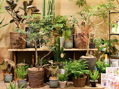 第一園芸 伊勢丹新宿店 Shinjuku 3 Chome 14 1 Park City 3 1f Shinjuku City Tokyo Jp Zaubee