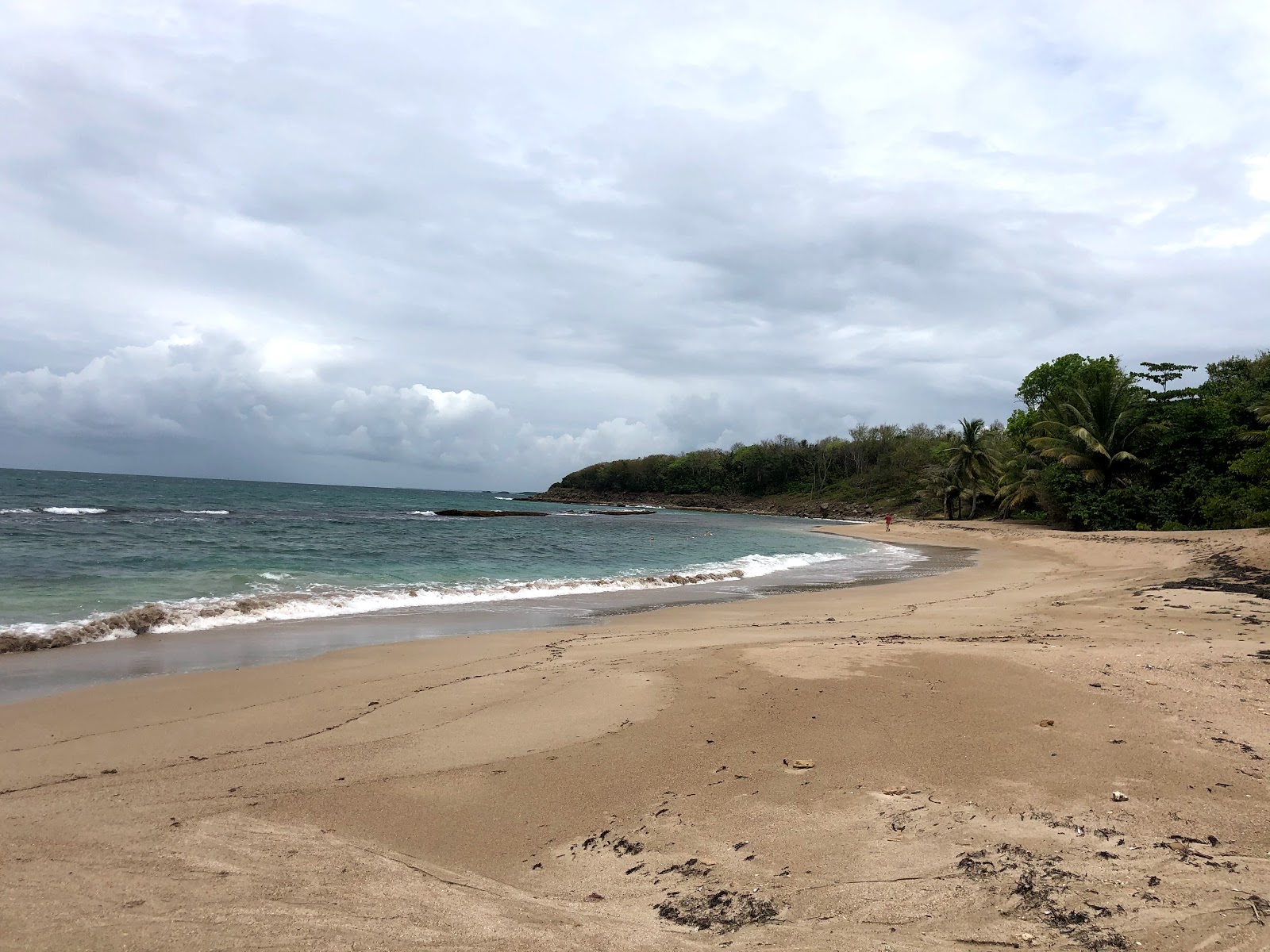 Anse Vinty Beach的照片 带有碧绿色纯水表面