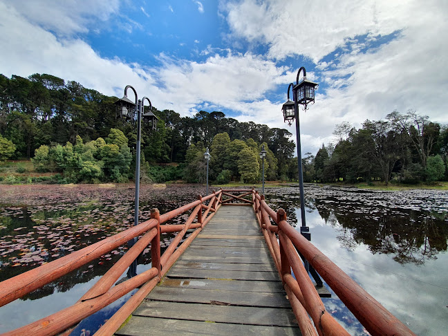 Parque Saval