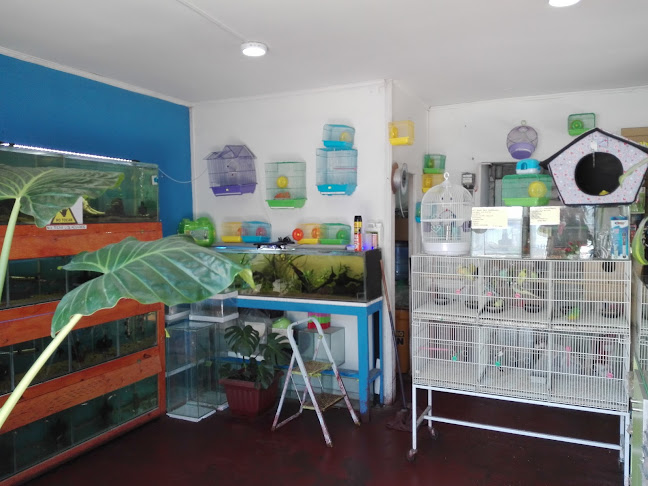 Opiniones de Alimentos Para Mascotas en Melipilla - Tienda de ultramarinos