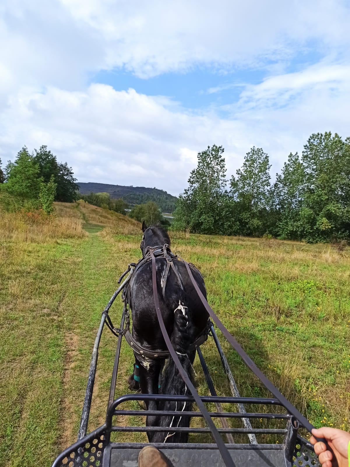 Photo n° 1 de l'avis de Sébastien.e fait le 09/04/2019 à 04:38