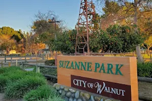 Suzanne Park image