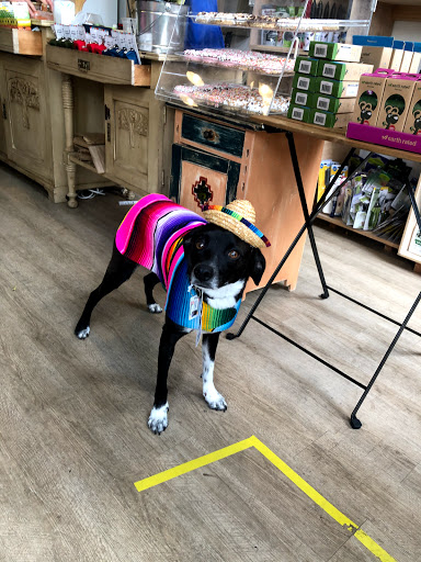 Pet Supply Store «Cole Valley Pets», reviews and photos, 910 Cole St, San Francisco, CA 94117, USA