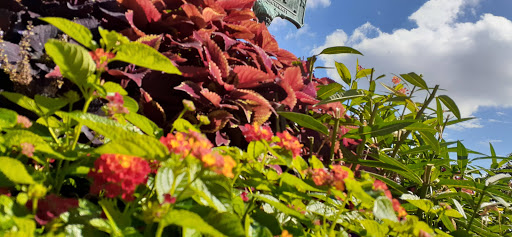 Park «Lytle Park», reviews and photos, 501 E 4th St, Cincinnati, OH 45202, USA