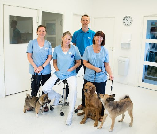 Selskov Veterinary Clinic in Hillerød, Hillerød