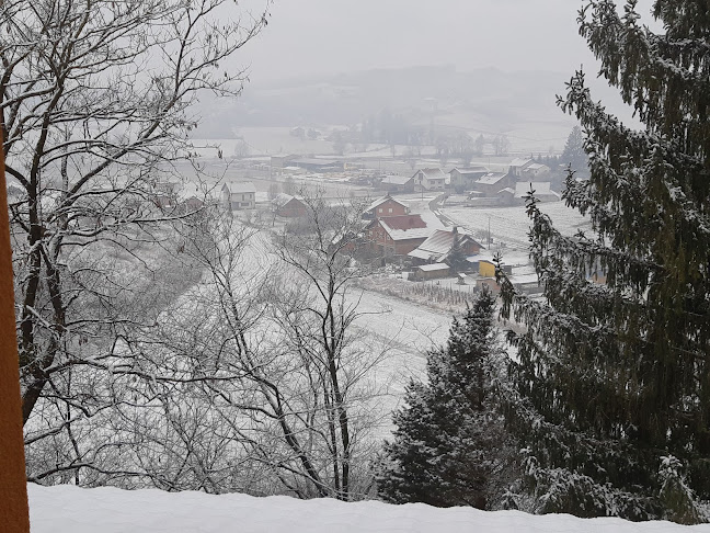 Viča Sela 15E, 49217, Krapinske Toplice