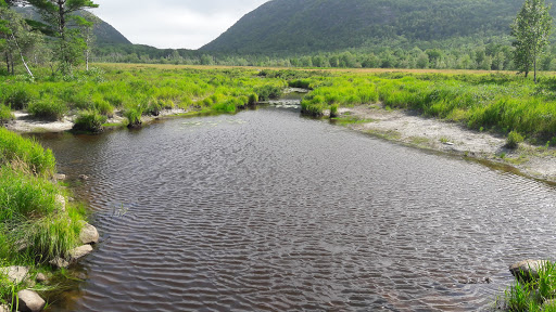 National Park «Acadia National Park», reviews and photos