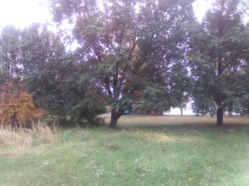 Bakery «Laurel Tavern Donuts», reviews and photos, 115 Washington Blvd, Laurel, MD 20707, USA