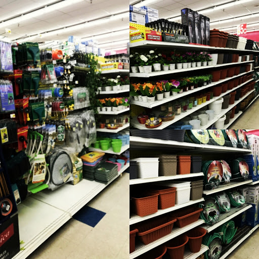 General Store «General Discount», reviews and photos, 2834 W Imperial Hwy, Inglewood, CA 90303, USA