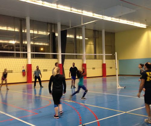 Centre de loisirs Paris Volley Loisirs Paris
