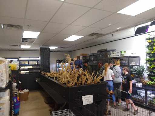 Reptile store Scottsdale