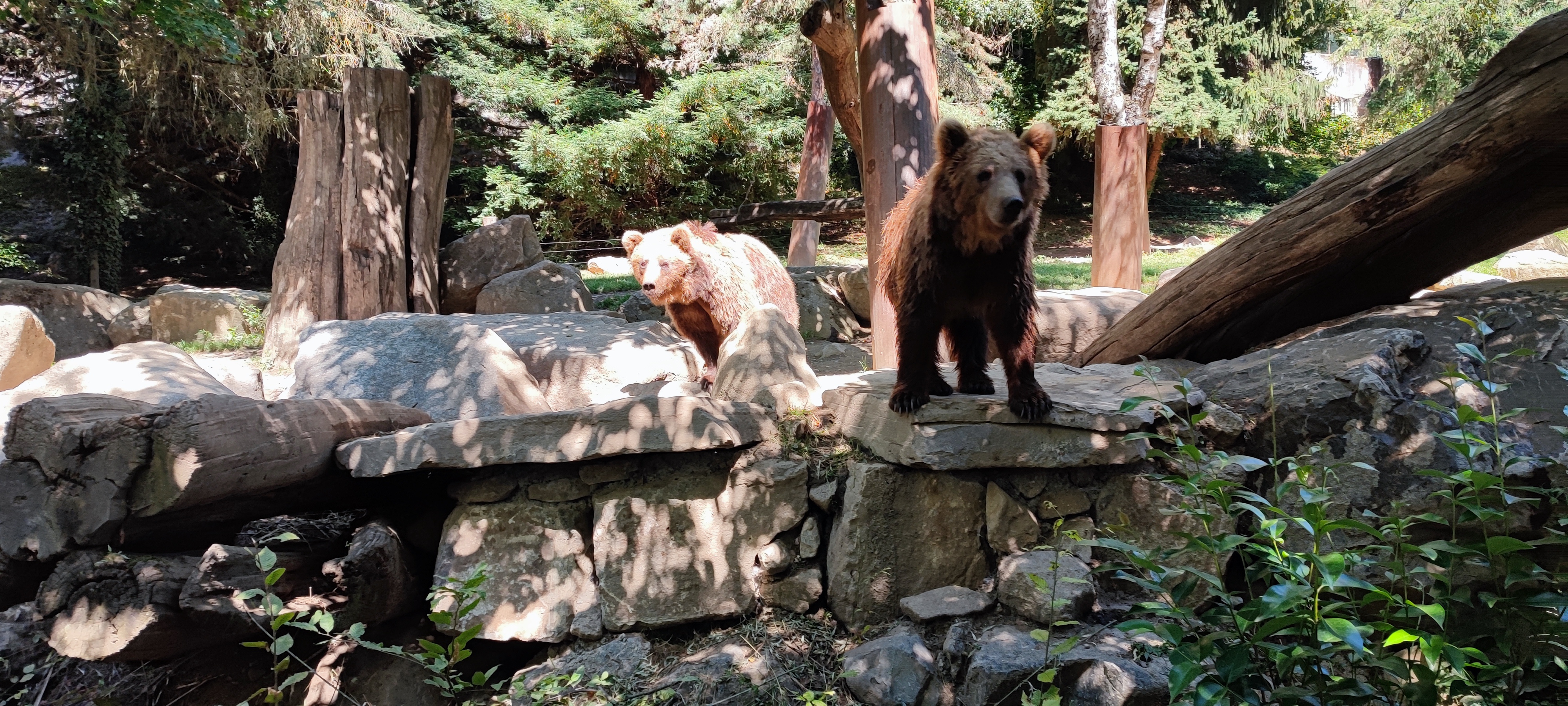 Photo n° 2 de l'avis de rachel. fait le 10/07/2022 à 09:02