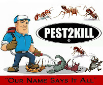 Pest2kill, Inc - Photo 7 - Car repair in New York, NY, Manhattan