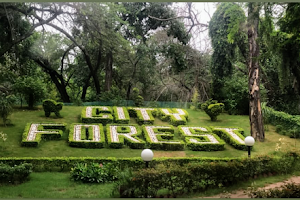 City Forest image