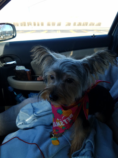 Pet Supply Store «PetSmart», reviews and photos, 3401 Erie Blvd E, Syracuse, NY 13214, USA