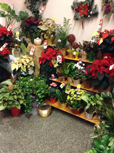 Florist «A New Leaf Flowers and Gifts», reviews and photos, 4106 Monona Dr, Madison, WI 53716, USA