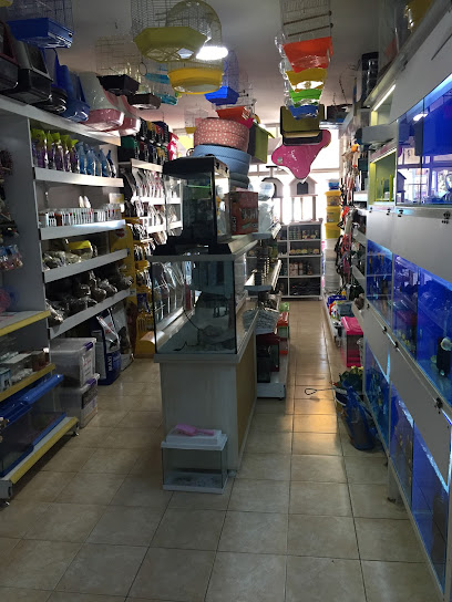 Pınar Petshop