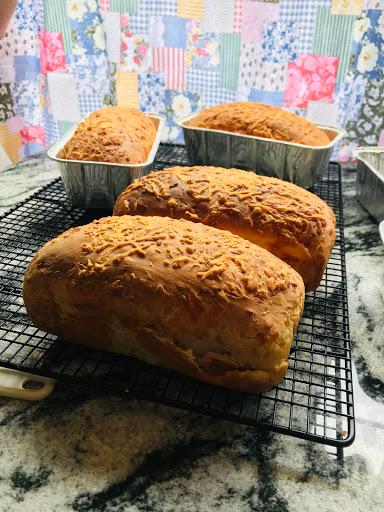 Hostel «Blue Goose Bike Hostel», reviews and photos, 128 E Main St, Irwinton, GA 31042, USA