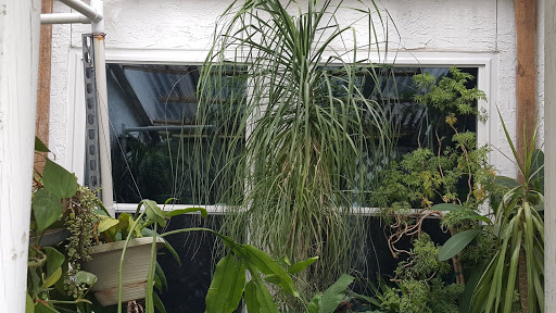 Insulation Contractor «Green Energy of SA», reviews and photos