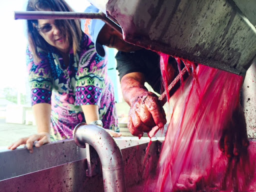 Winery «Stephen & Walker Winery», reviews and photos, 243 Healdsburg Ave, Healdsburg, CA 95448, USA