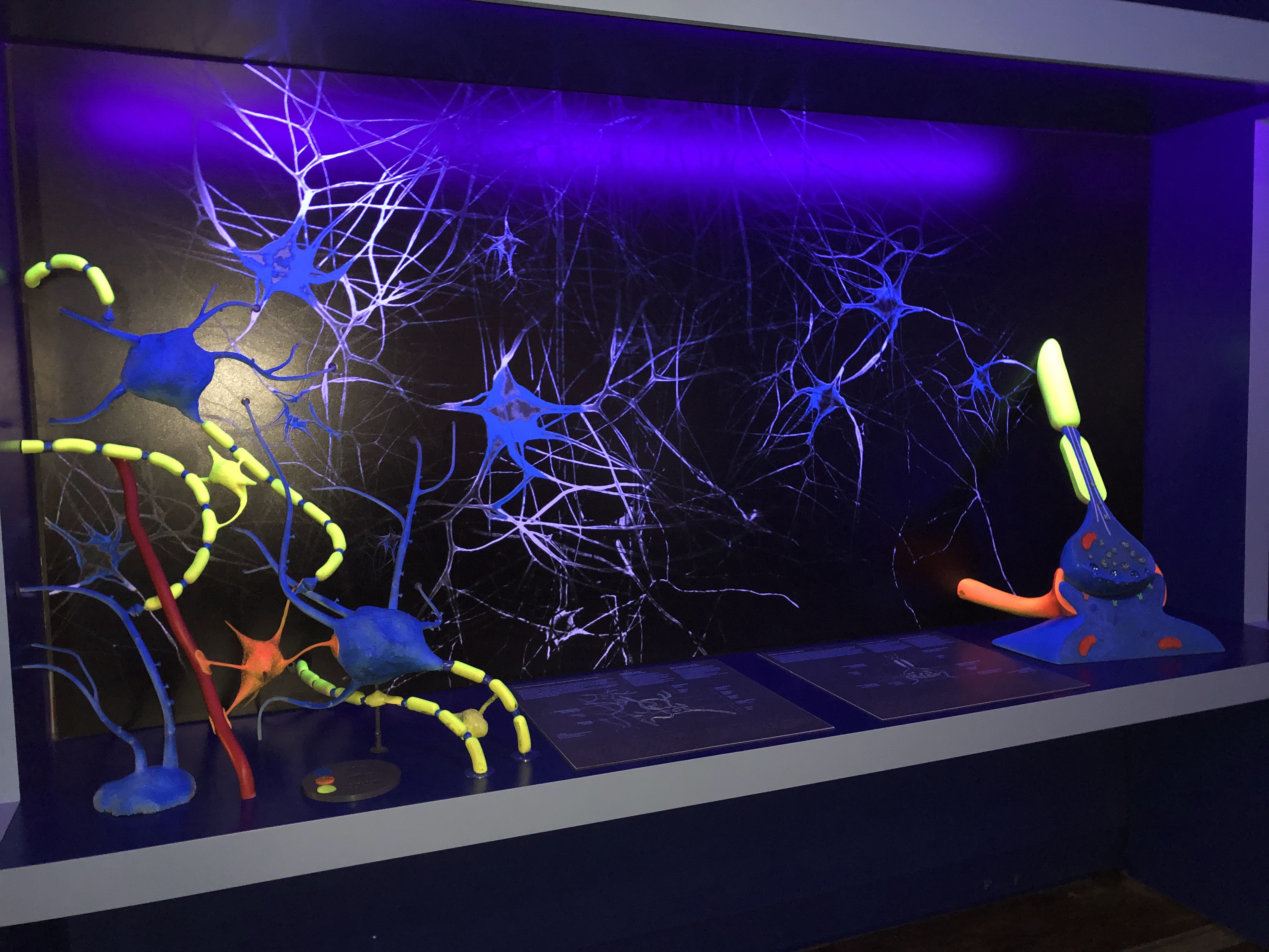 Photo n° 4 de l'avis de Nicolas.a fait le 07/06/2022 à 05:35